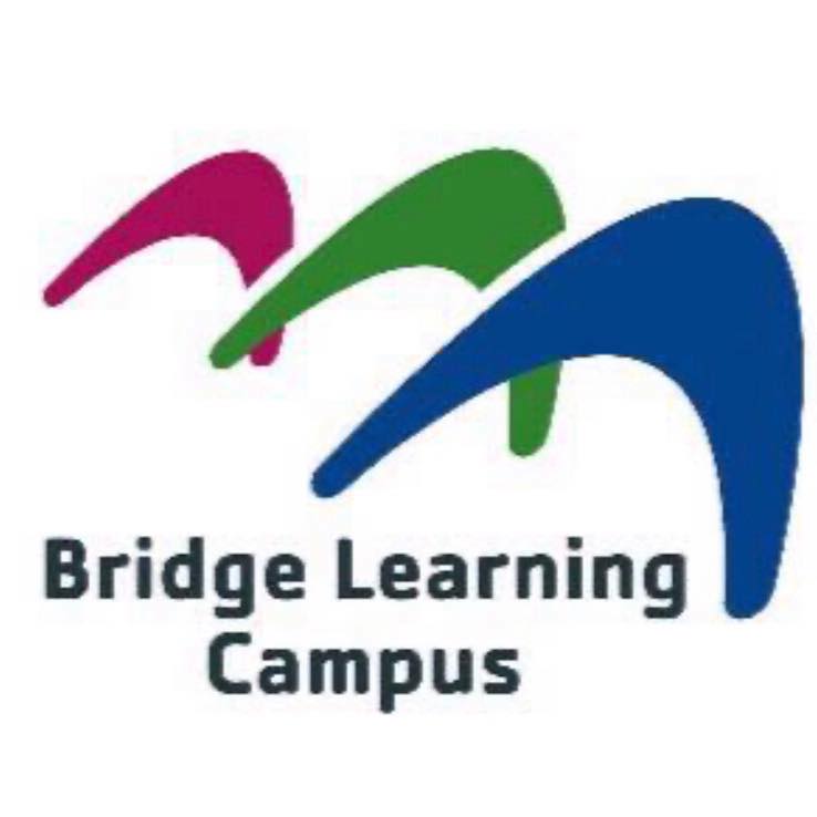 Science Friday 🤩 Ammonium Dichromate Volcano 🌋 A pile of ammonium ...