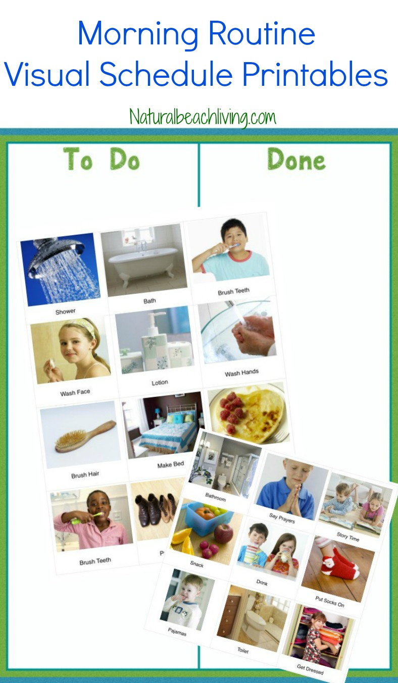 The Perfect Morning Routine Visual... - Natural Beach Living