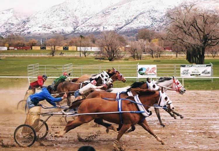 Worl... - World Champion Cutter and Chariot Racing Association