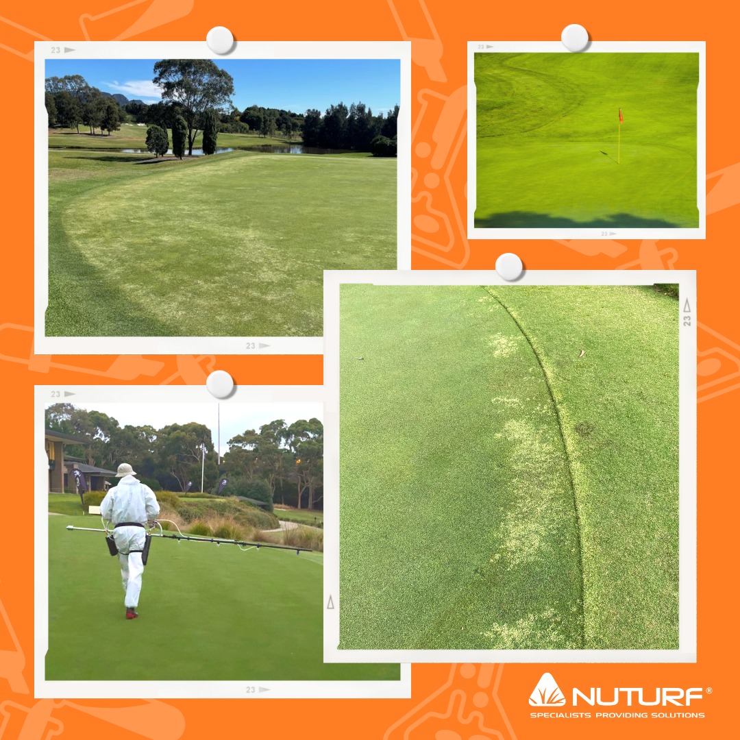 Nuturf constantly doing big things... - Equipment Solutions