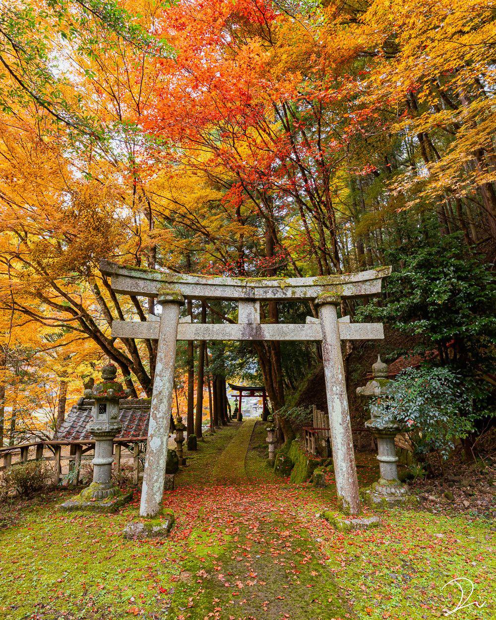 The autumn leaves in Kyoto are starting... - Welcome to Japan | Facebook