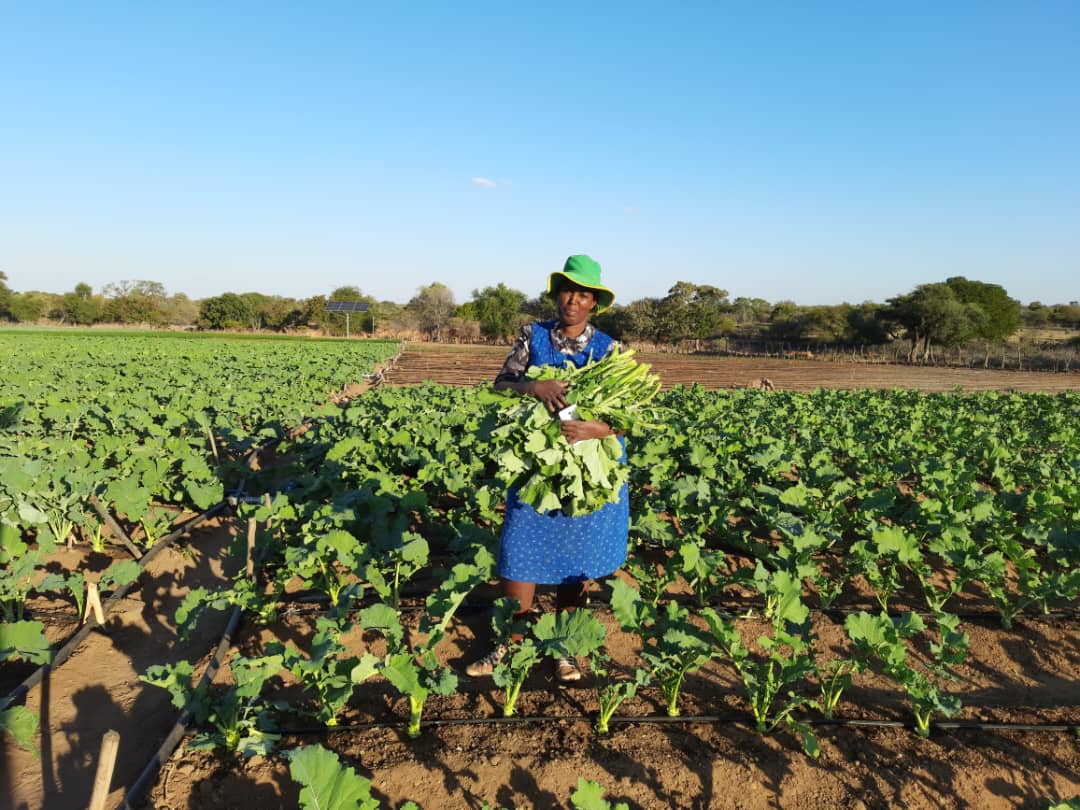 Practical Action in Southern Africa | Harare