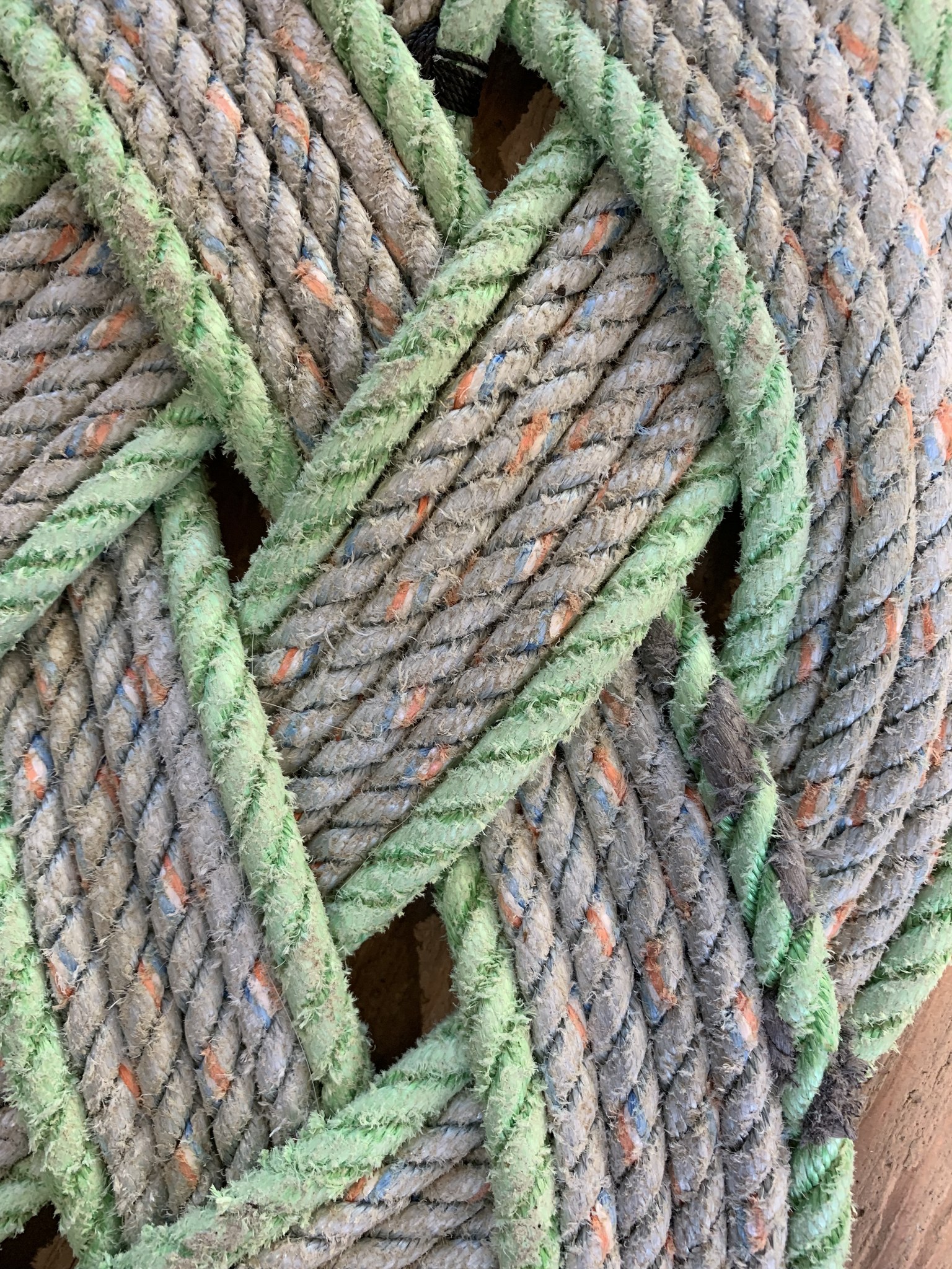 I wanted to re-share this post from... - 2nd Chance RopeWorks | Facebook