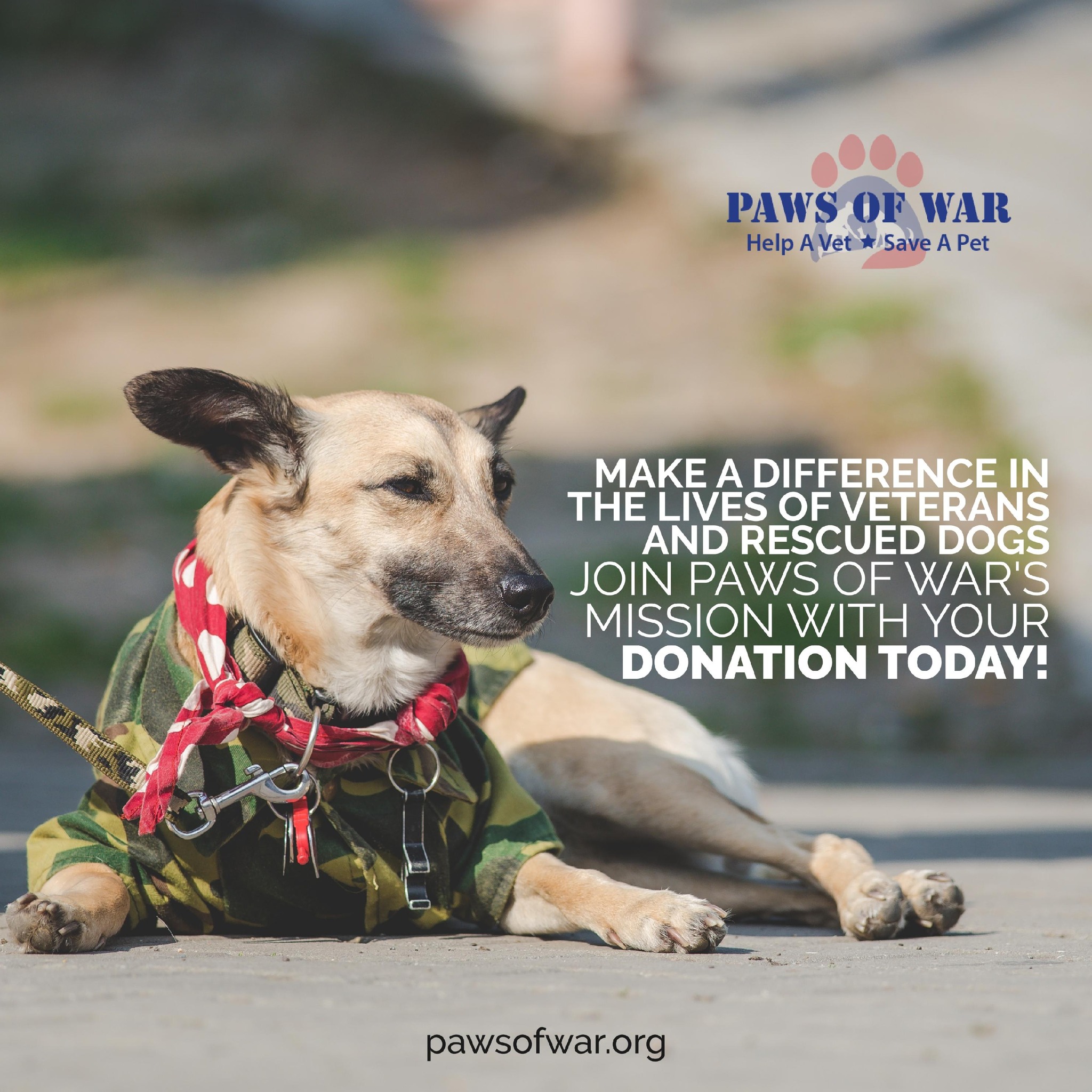 Paws of War - Your Donation Makes a Difference! Help Paws... | Facebook