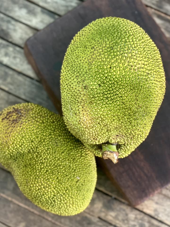 Delicious tree ripened jackfruit ☀️... - Slow Earth Lot201 | Facebook