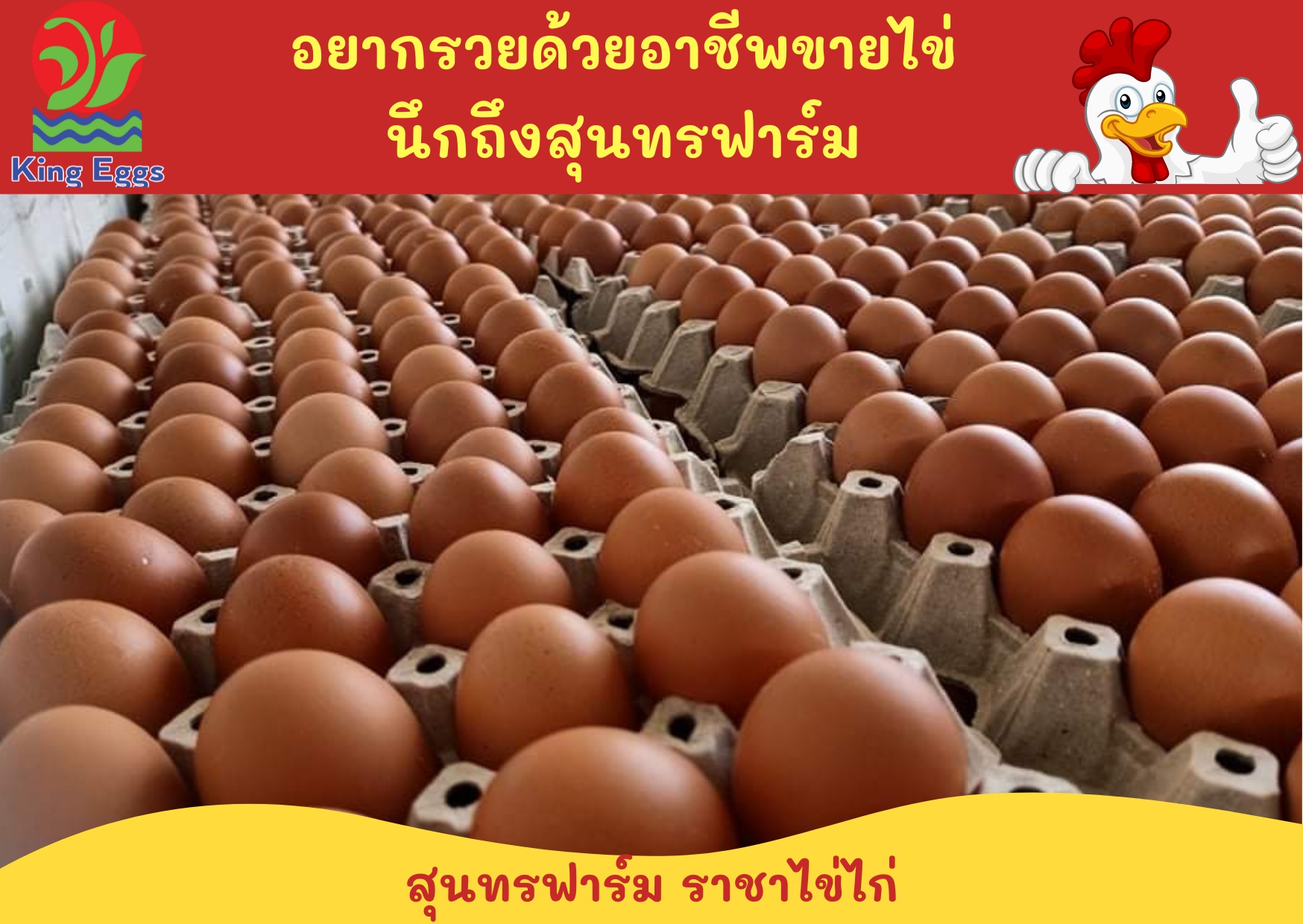 คิงส์ เอ้กส์ - ราชาไข่ไก่ - King Eggs - คิดจะรวยด้วยอาชีพค้าไข่ คิดถึง ...