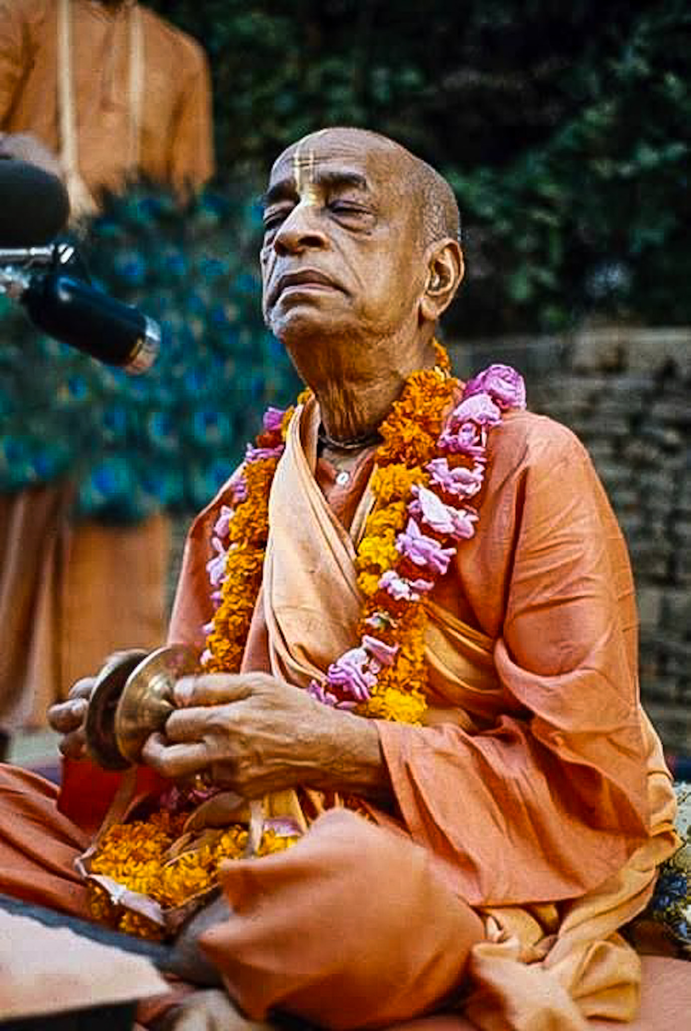 Porn Picture