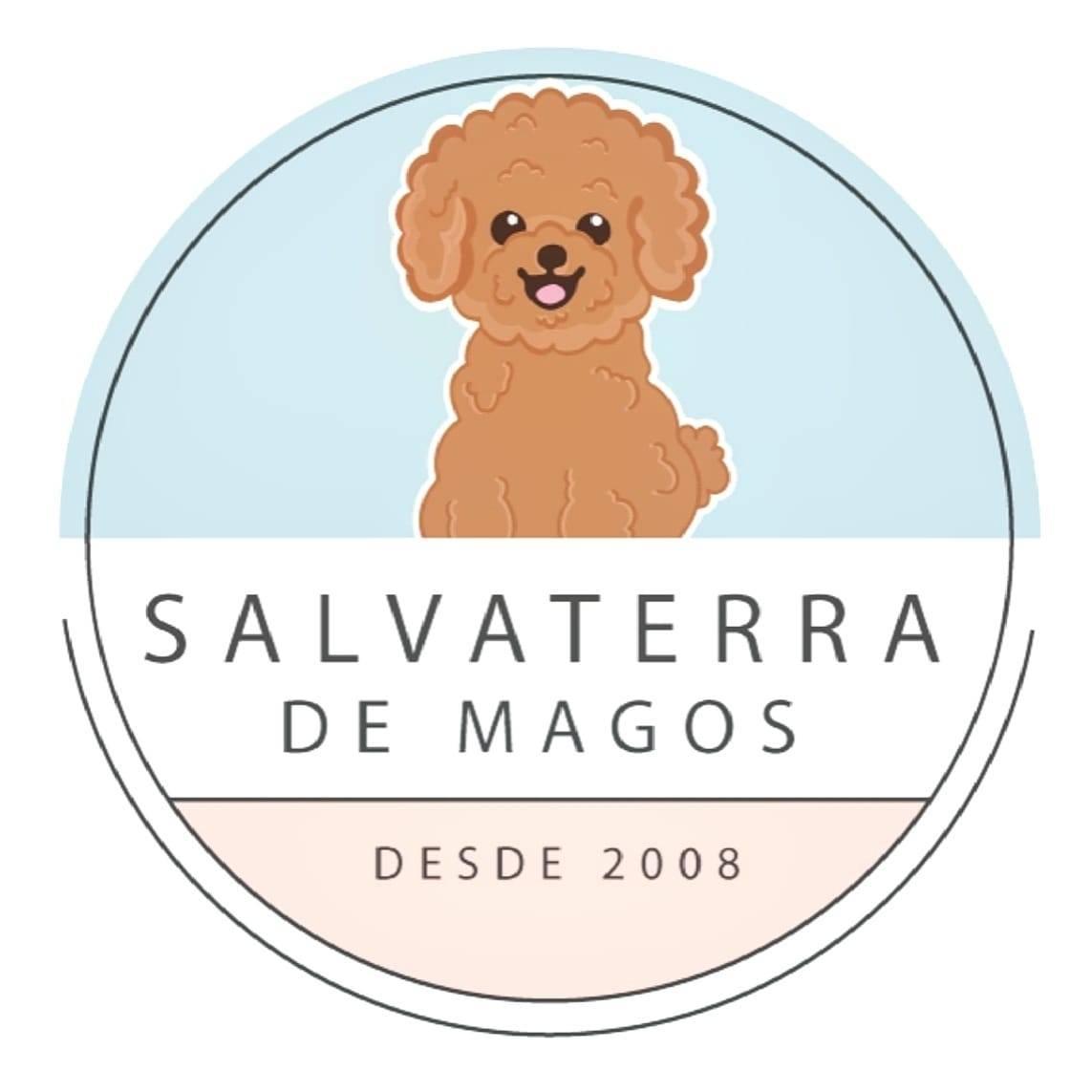 🐶🚗 Sillón de coche para perros en perfecto estado | Salvaterra de Magos