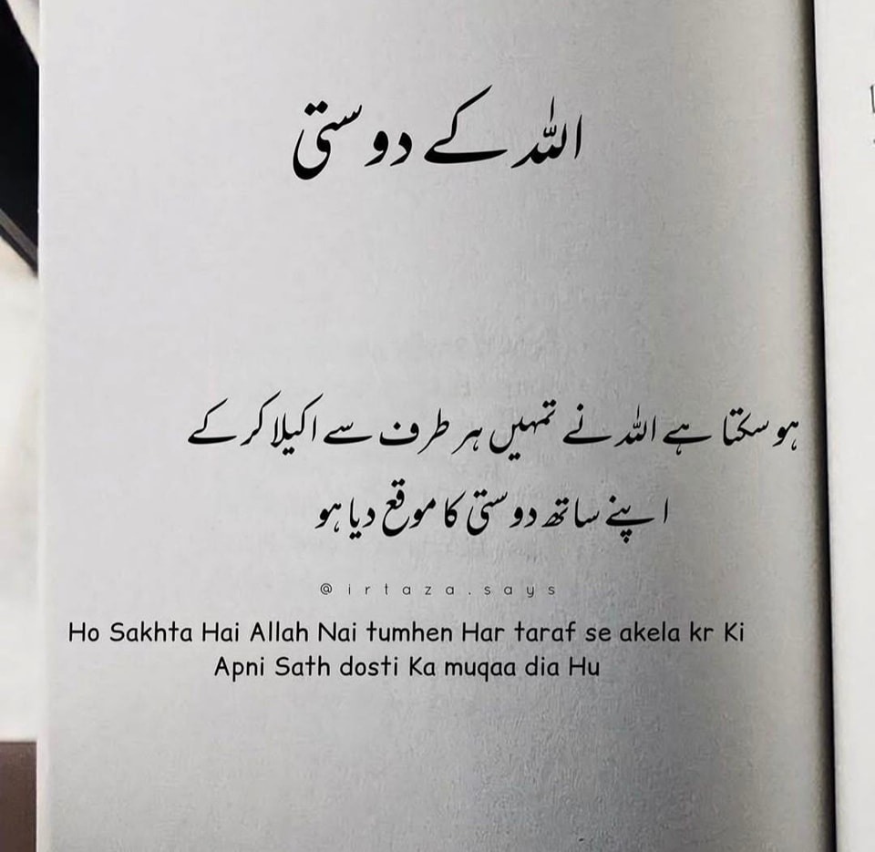 hanzla-habib