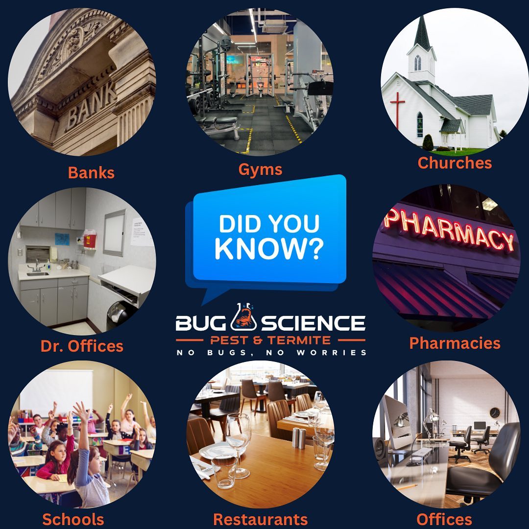 Bug Science - Did you know that Bug Science services more... | Facebook