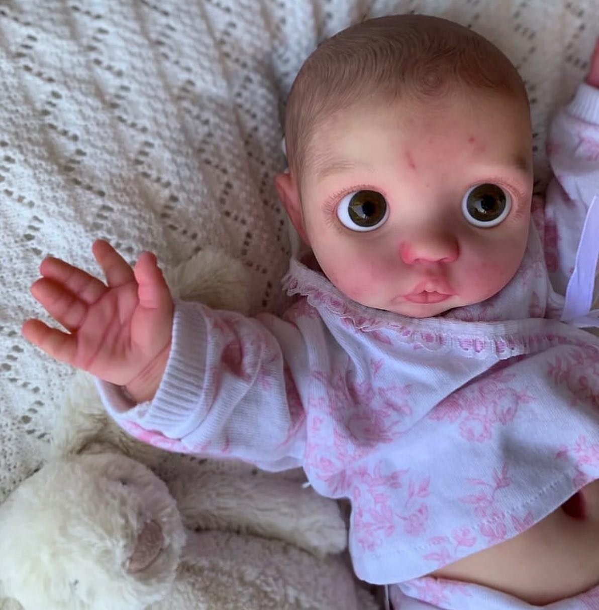 FBBD Reborn Dolls