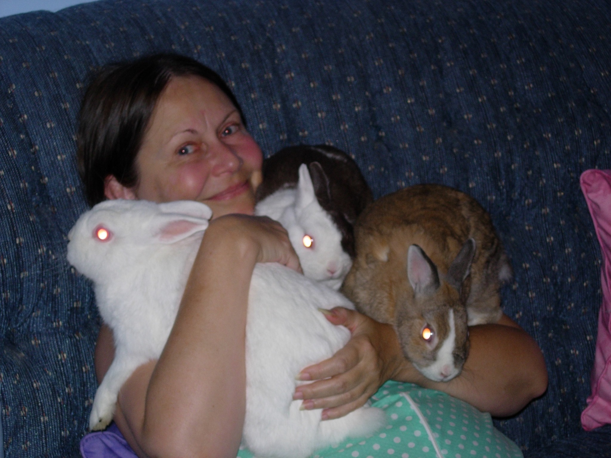 Purebred Rabbit Snobs | My favorites, by far, are BEW and REW Jersey ...
