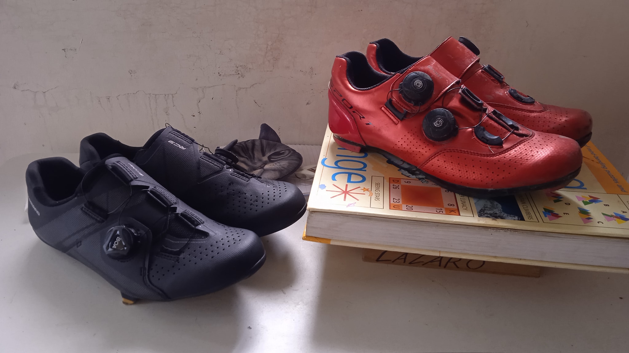 anyone owns a pair of shimanos rc3 shoes would like to know some 