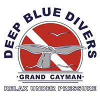 It's eating glass. More or less.... - Deep Blue Divers Cayman | Facebook
