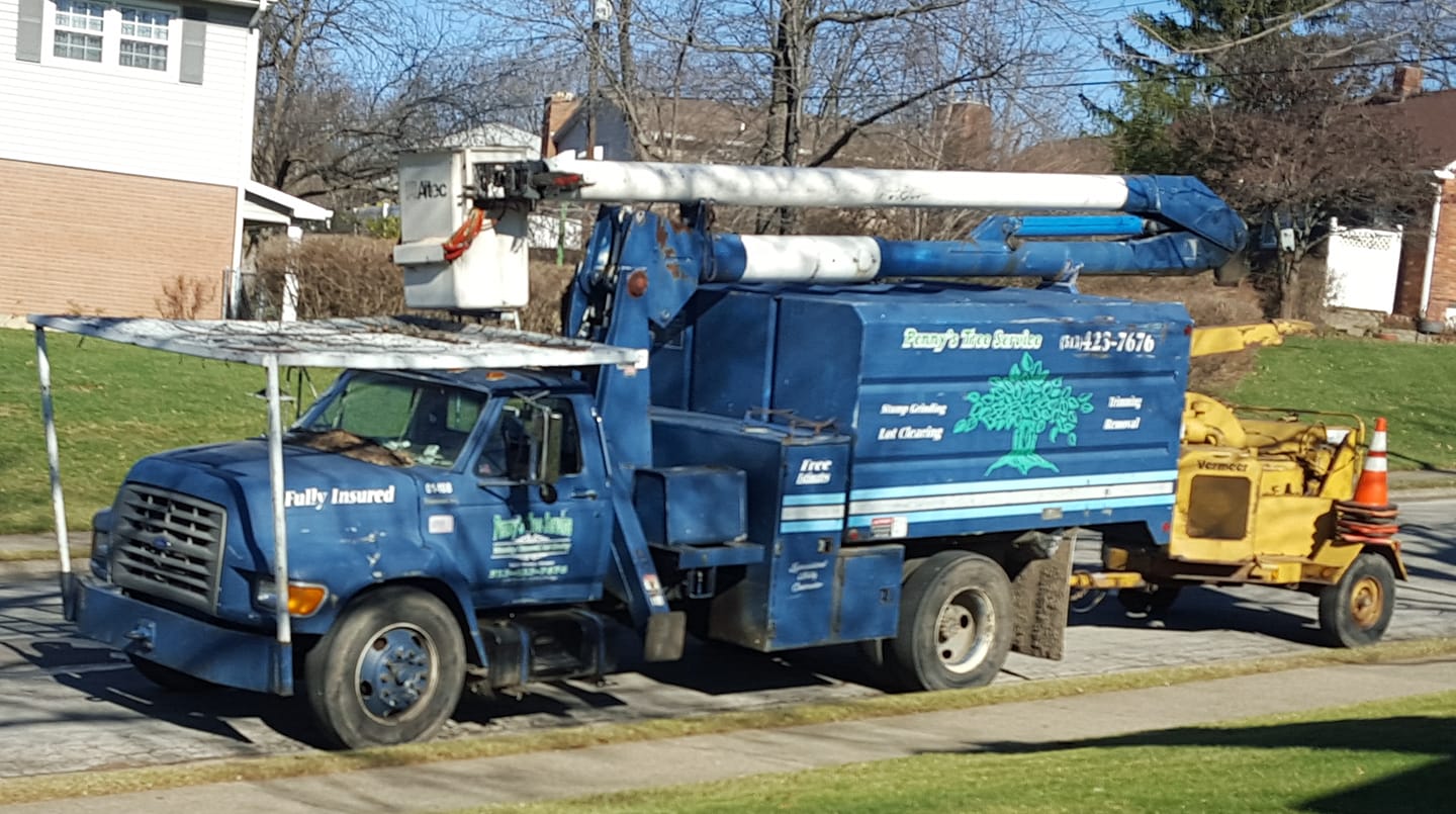 Penny's Tree Service | Franklin OH