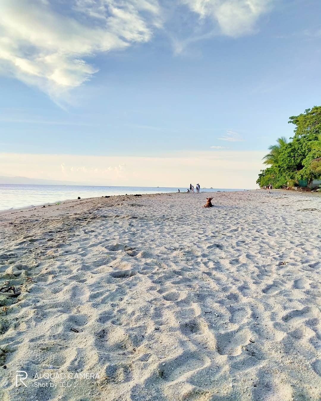 Queen City Cebu - 📌 White Beach Basdako, Moalboal For Cebu... | Facebook