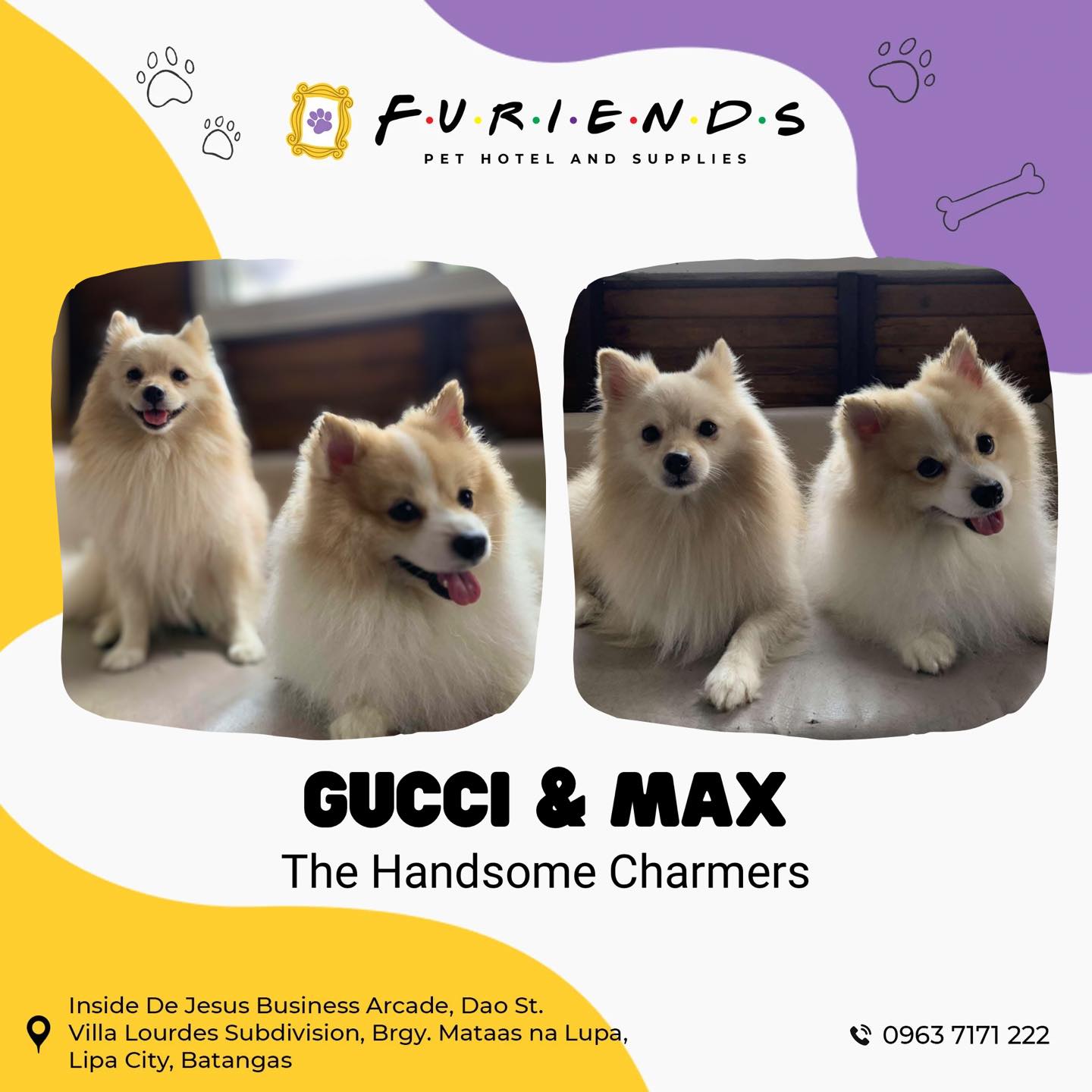 Furiends Pet Hotel & Supplies | Lipa City