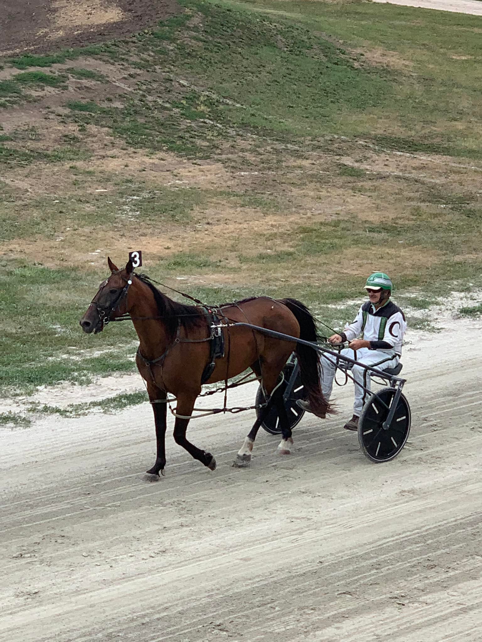 Iowa Harness... - Iowa Harness Horseman's Association