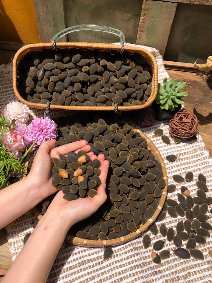 Chuyên Sỉ & Lẻ Say Rừng