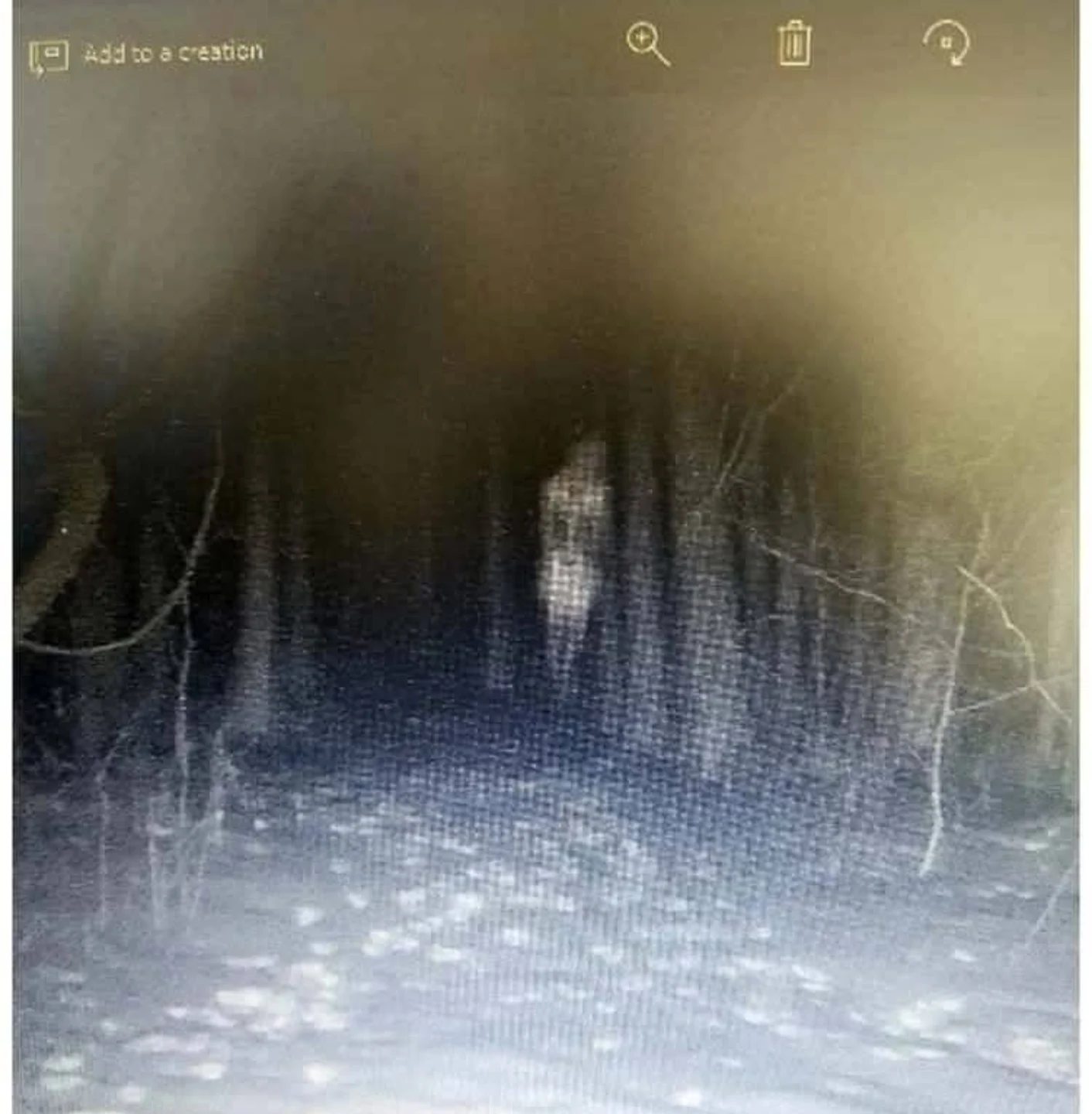 Consuming Fire Temple of El Shaddai - This is footage from a trail cam ...