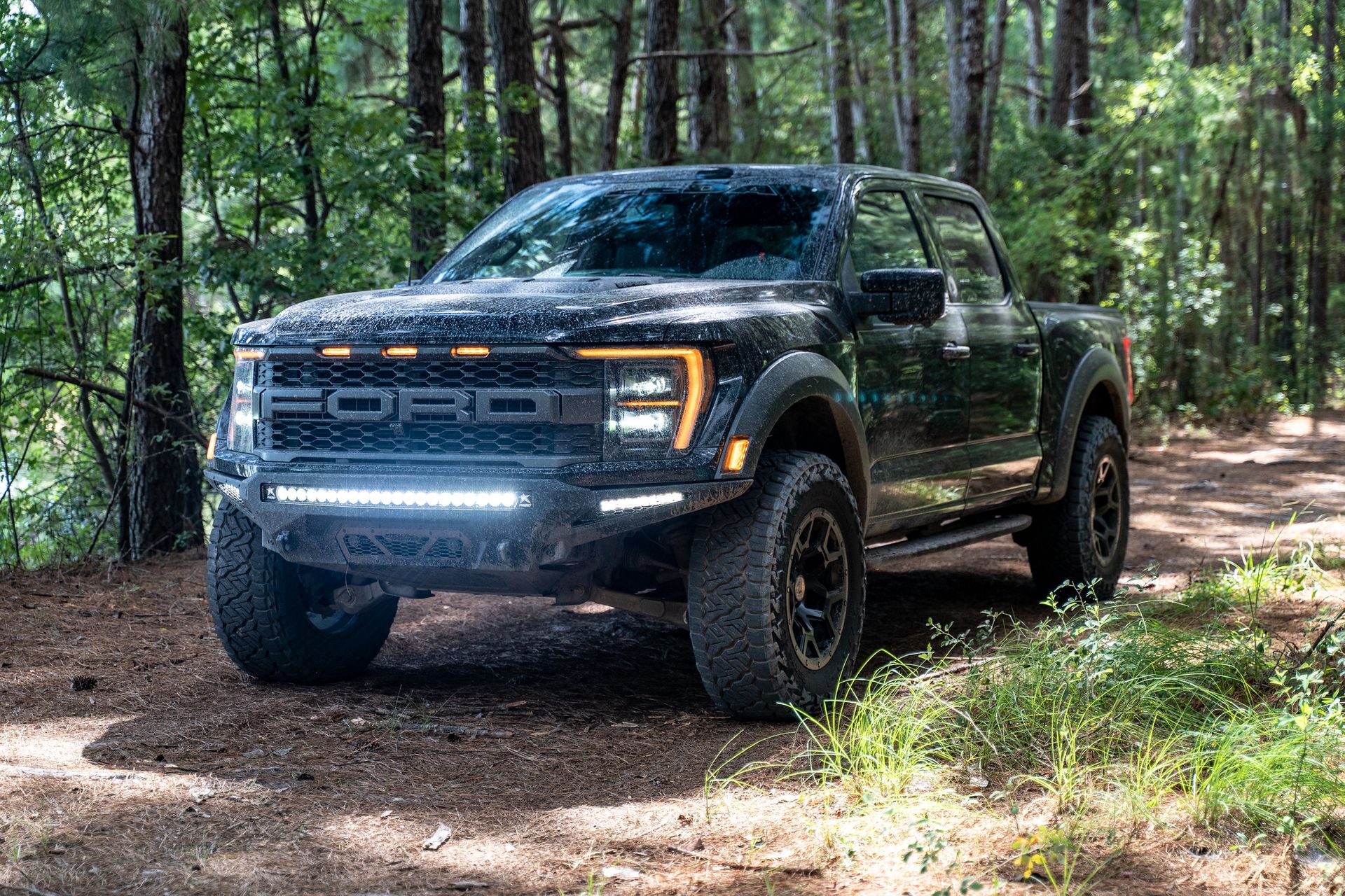 Steeda - The Steeda F-150 Raptor Edition: What started out as a ...
