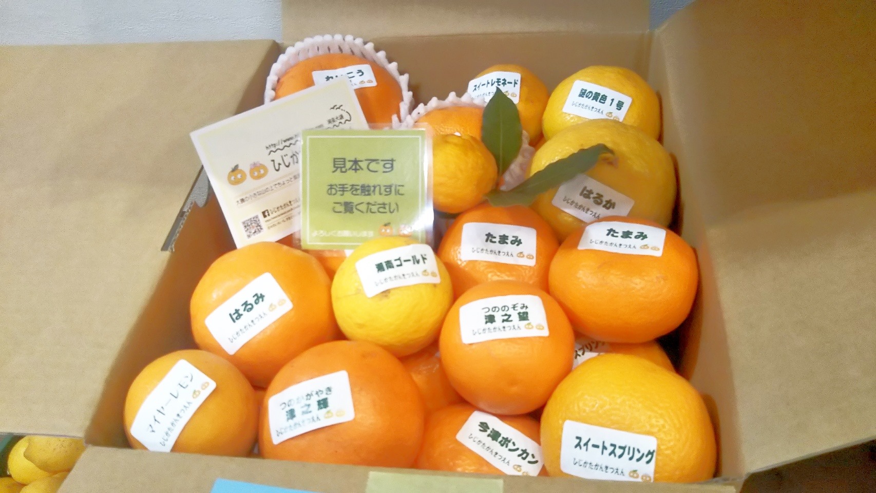 ひじかたかんきつえん おかげさまで 柑橘類詰め合わせ 大変ご好評頂いております ありがとうございます Facebook