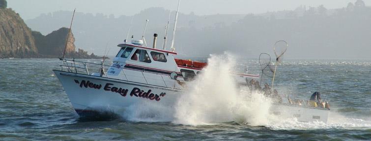 A very action packed day on... - Feeding Frenzy Sportfishing | Facebook
