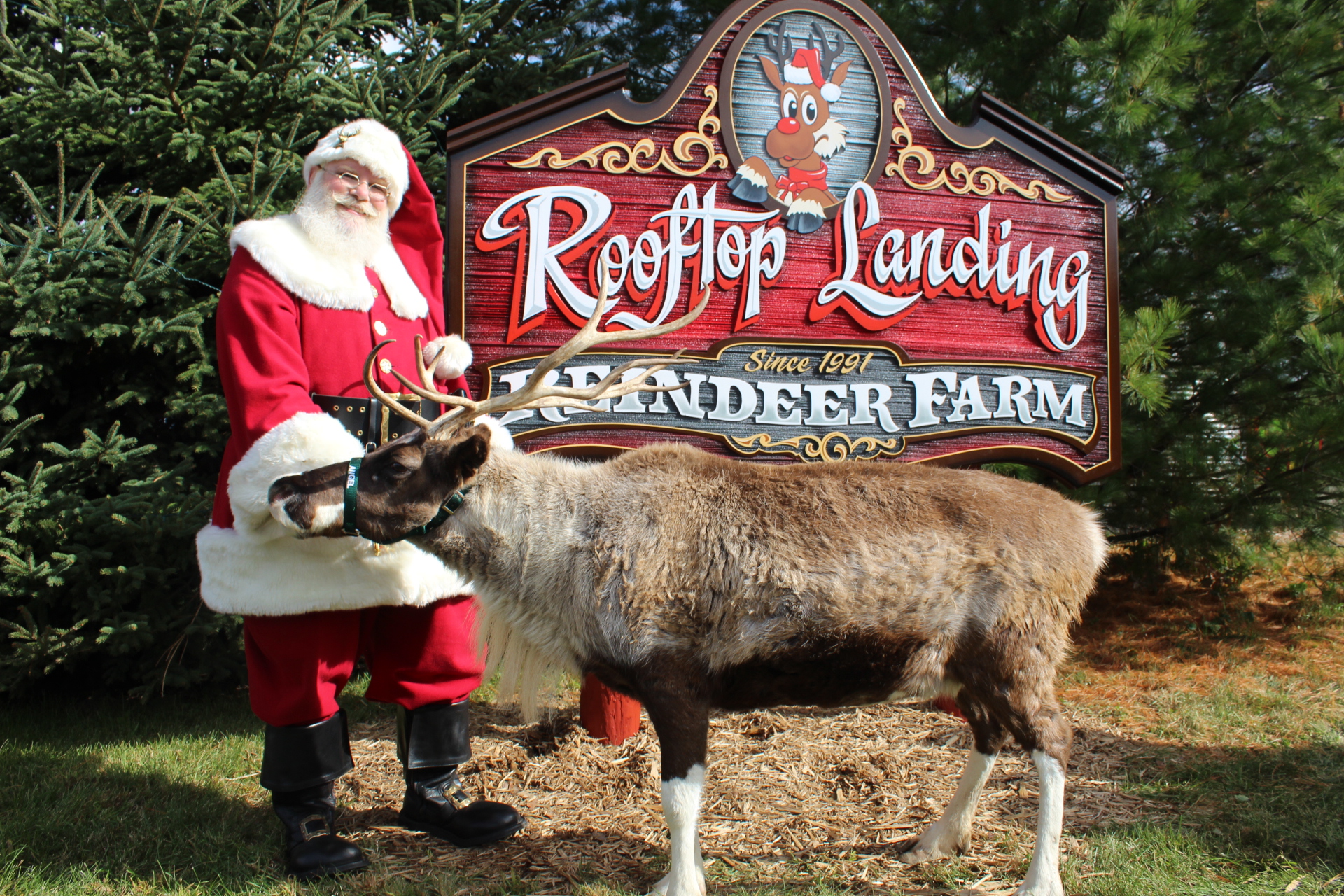 Come celebrate our most... - Rooftop Landing Reindeer Farm