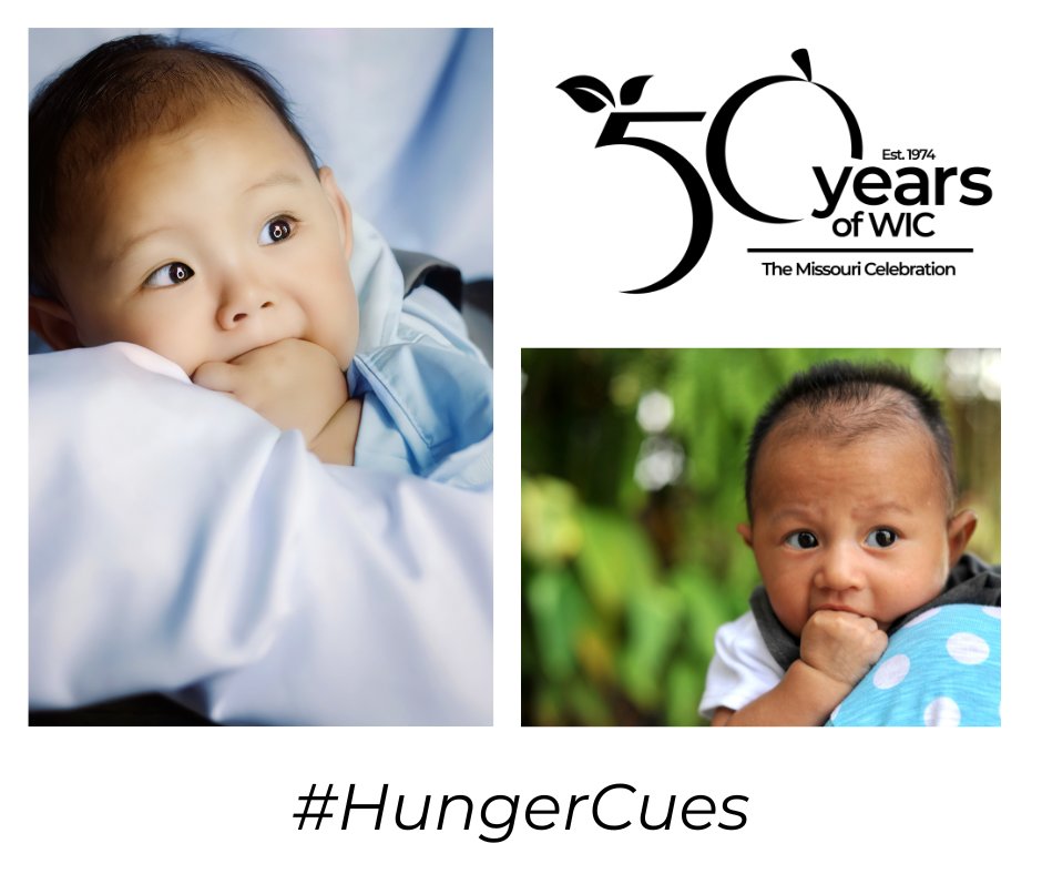 Missouri WIC - True or false? Crying is the first sign of hunger. False ...