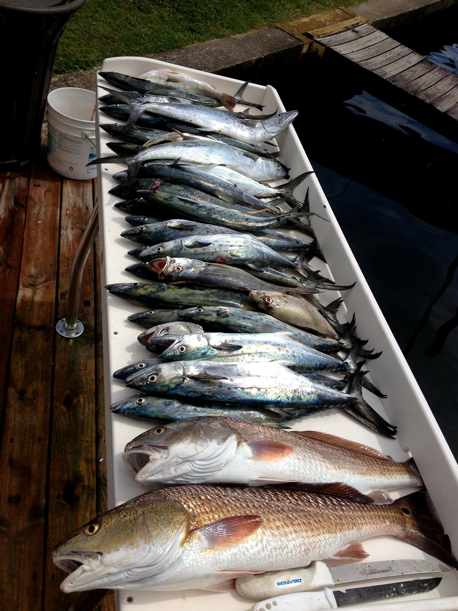 Redfish Stalker Fishing Charters | Crystal River FL