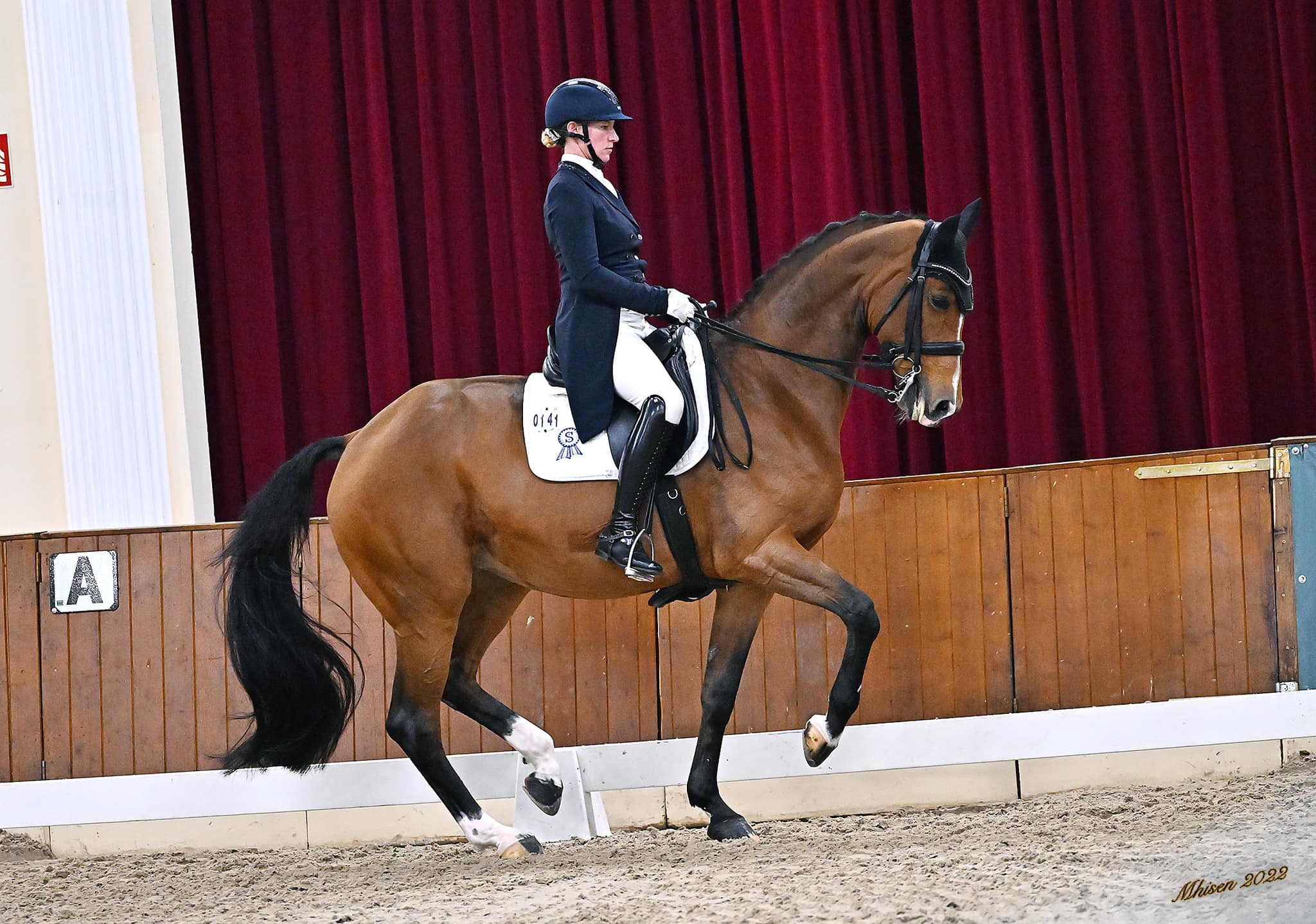Dressage Rider Rankings 2026