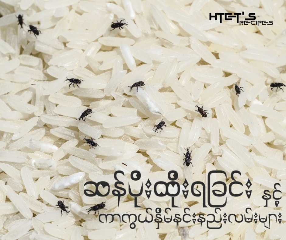 Thant Rice - သန့်စပါယ်ရှယ်ပေါ်ဆန်းမွှေး