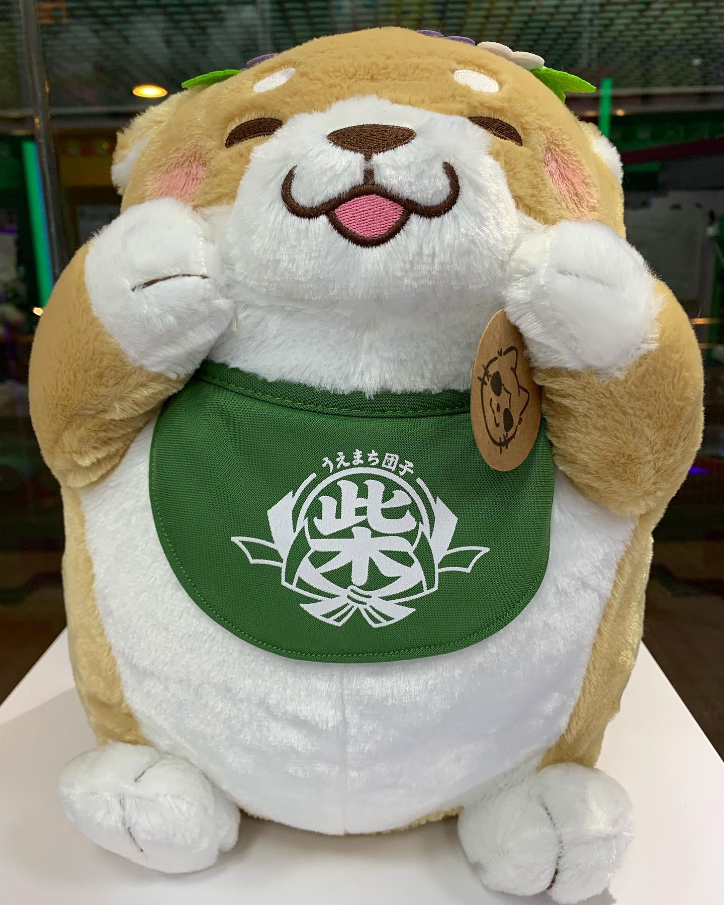 Catch貓抓抓-夾公仔實體店 - Catch貓抓抓-夾公仔實體店 added a new photo — at...