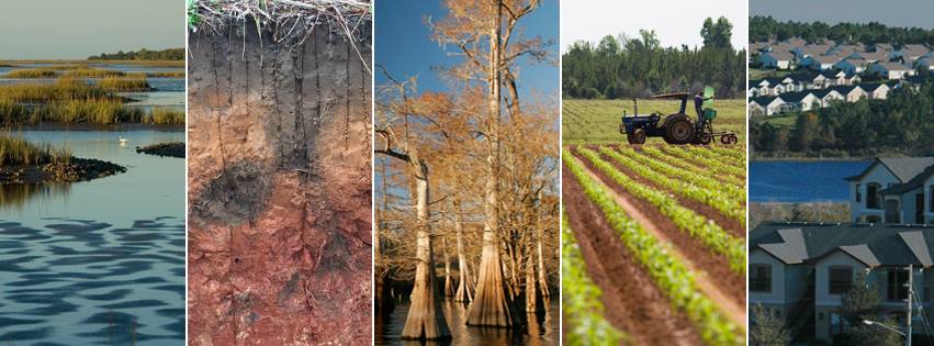 UF IFAS Department of Soil, Water, and Ecosystem Sciences | Gainesville FL