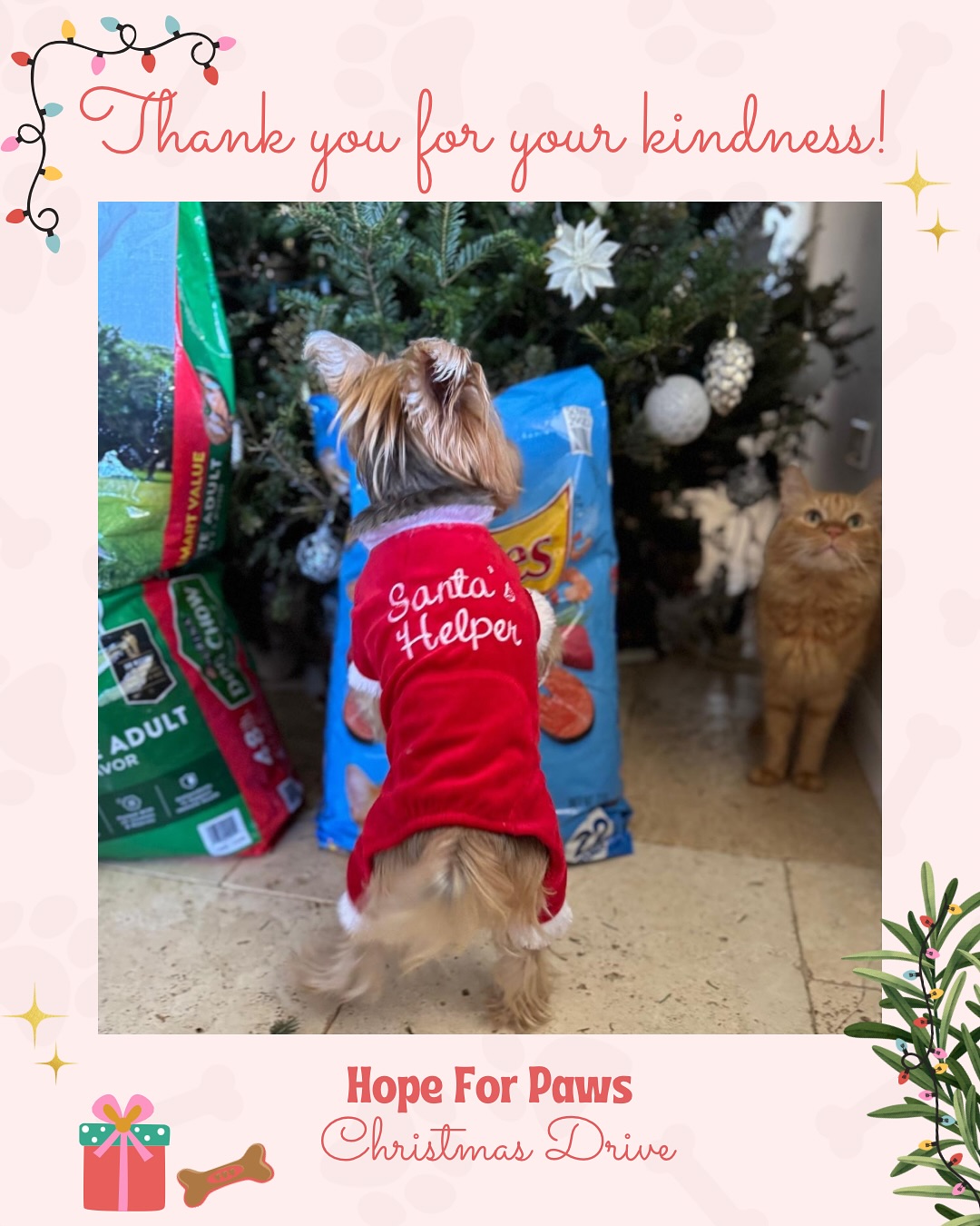 Hope for Paws Drive