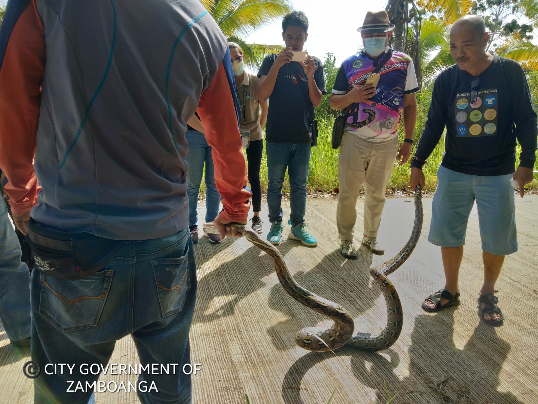 RELEASE OF 8 PHYTONS... - City Government of Zamboanga | Facebook