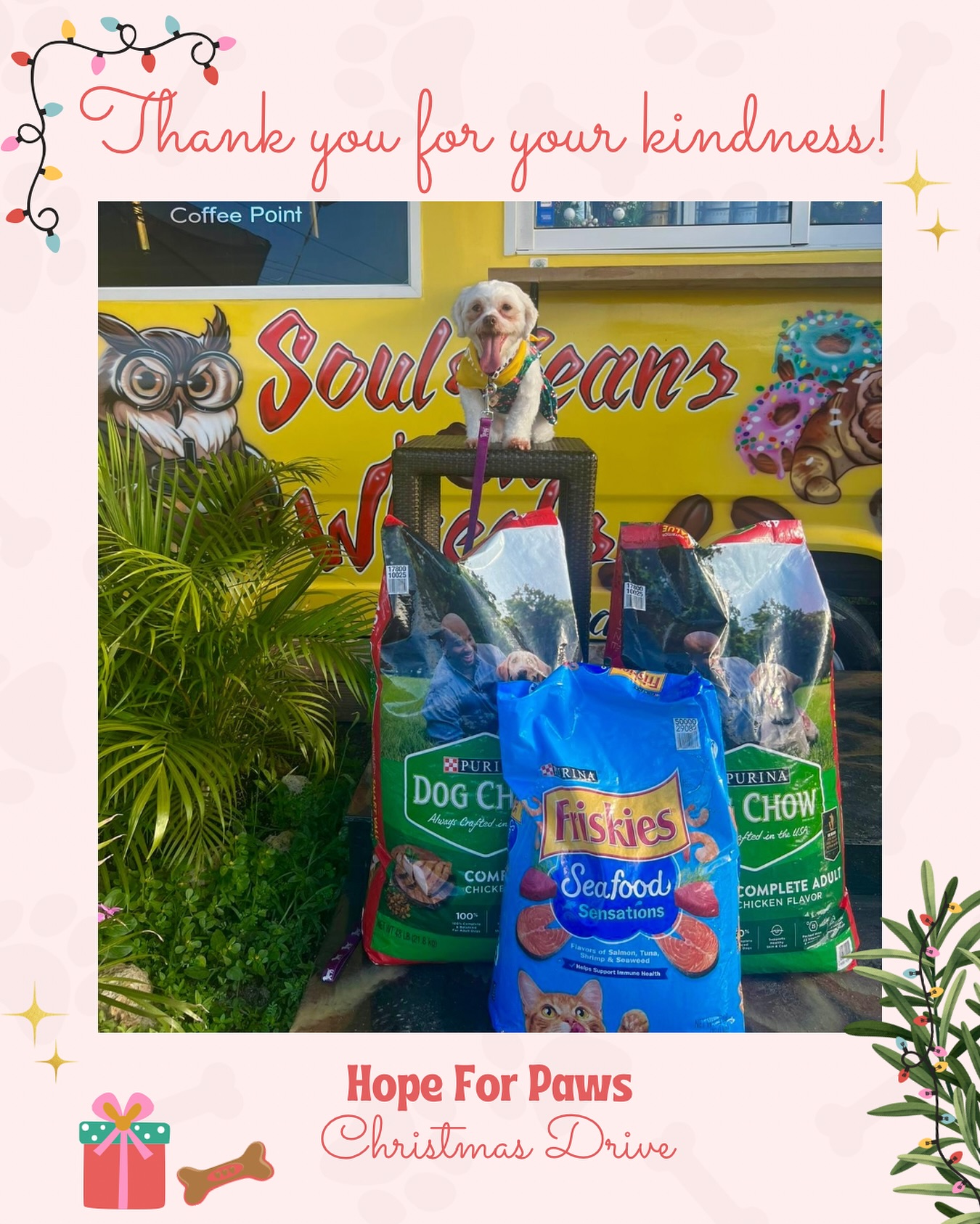 Hope for Paws Drive