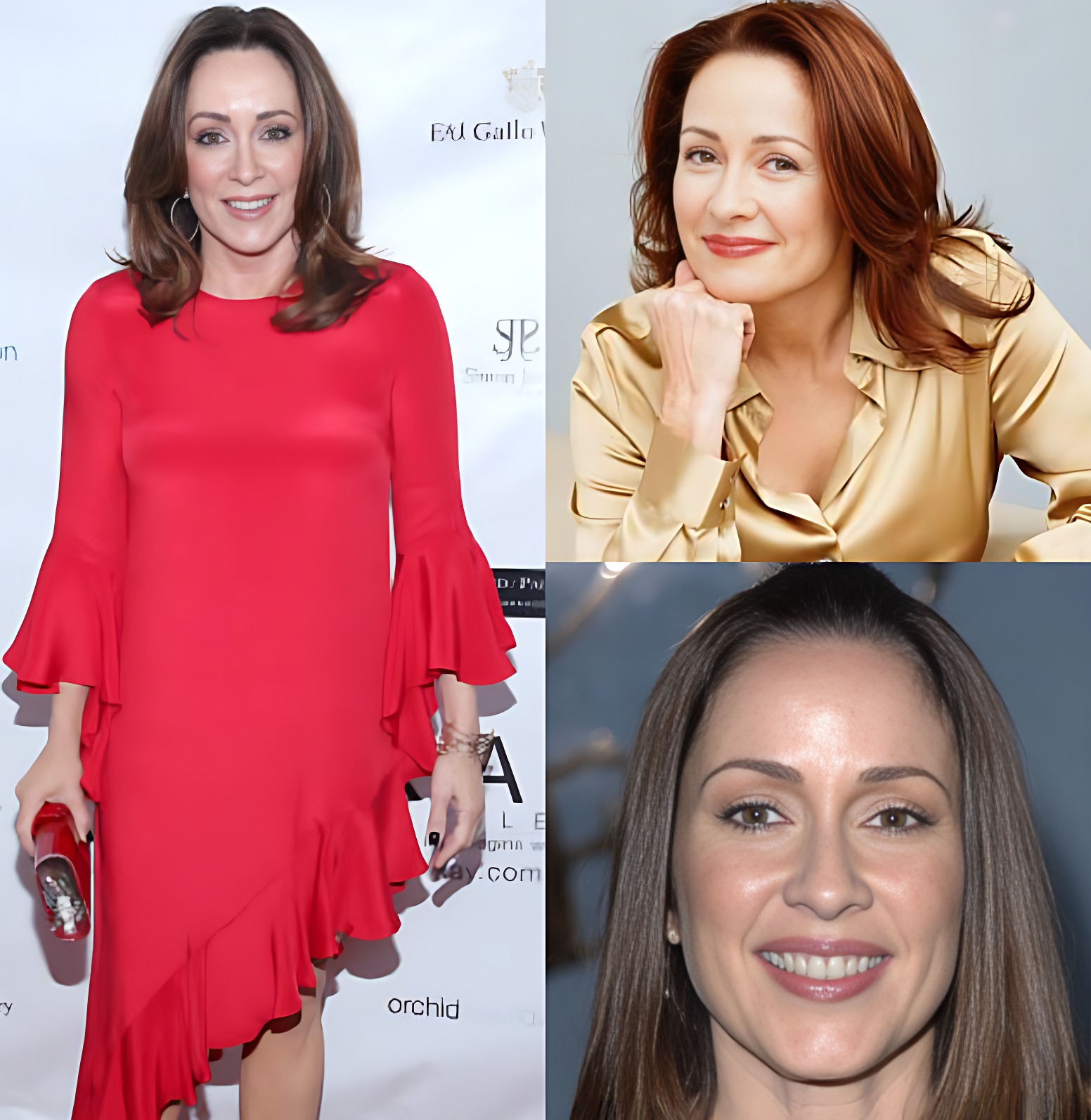 Gina - Patricia Heaton is a talented actress, best known for her role ...