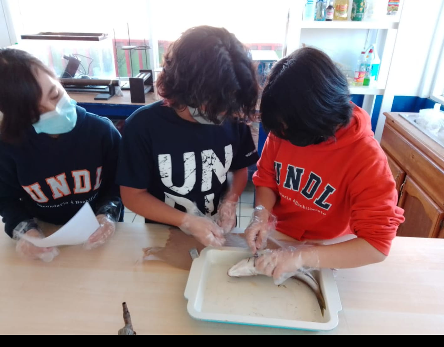 UNDL - Práctica de Laboratorio del grupo 