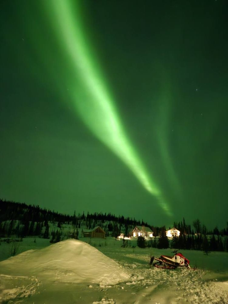 Fjällfrid Saxnäs