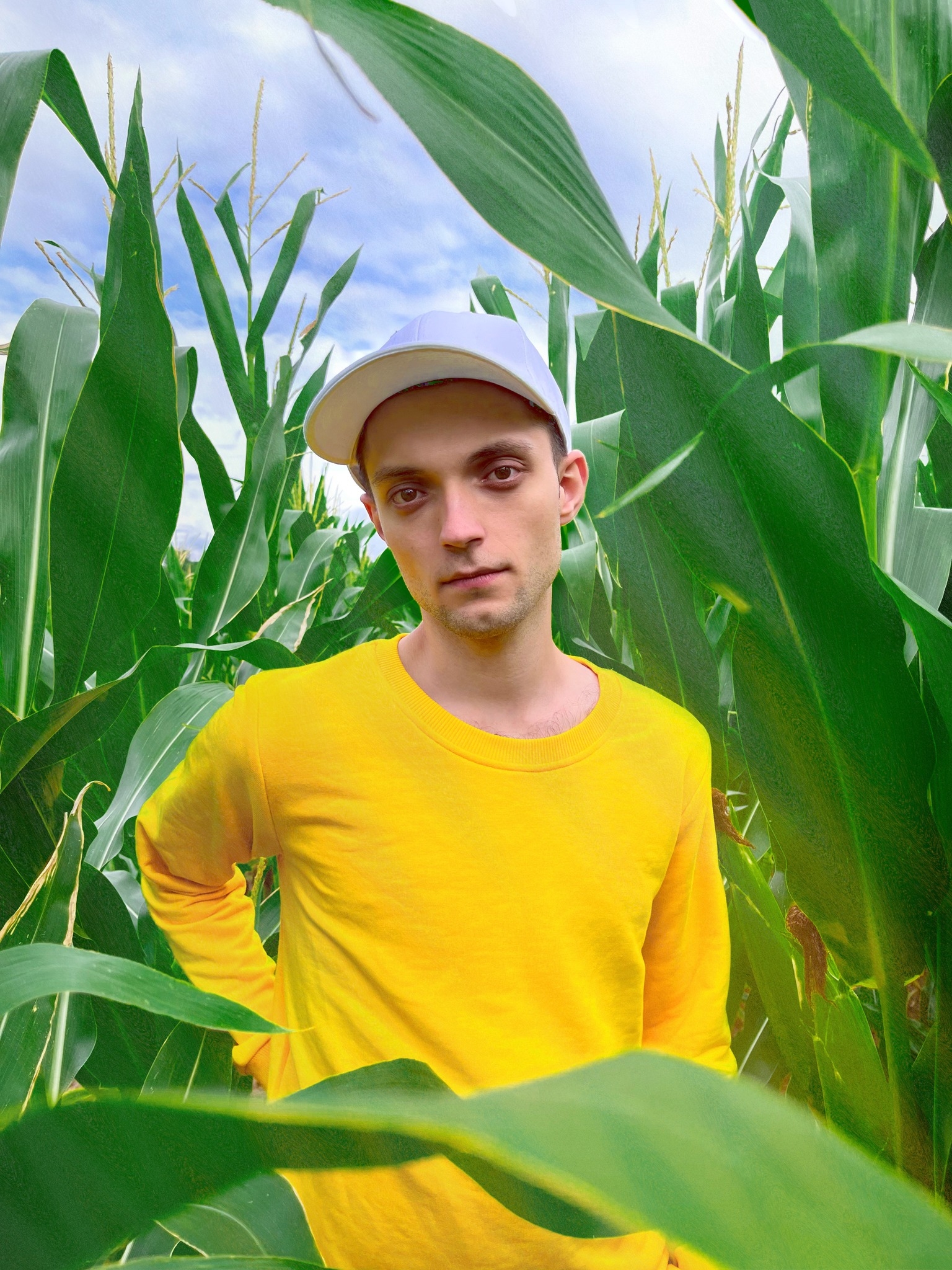 Jaako