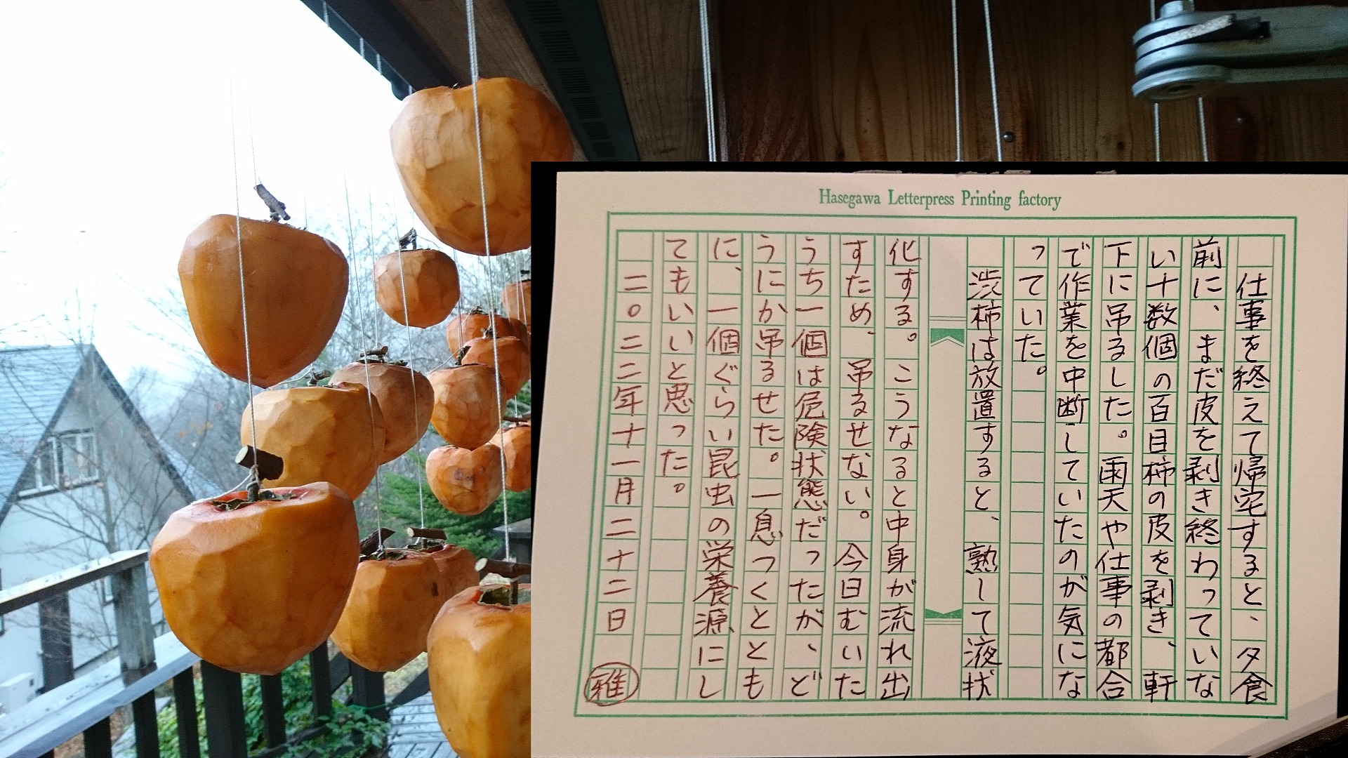 大きな柿の木になっているすべての百目柿をお買い上げください
