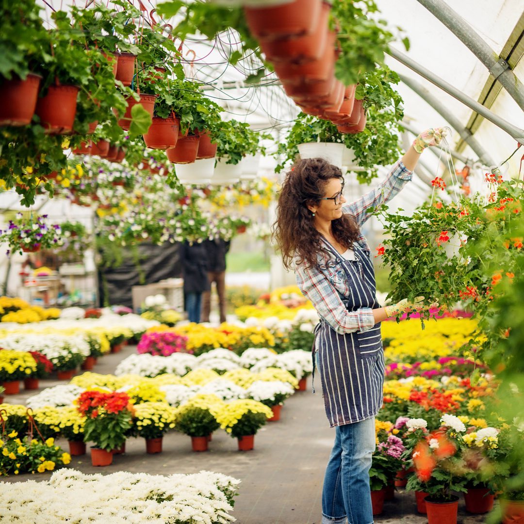 Roy - Spring is in full swing at Kutchey’s! 💐💐 | Facebook
