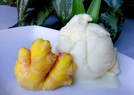 Bio Fresh - El #jengibre o quion (Zingiber officinale) es...