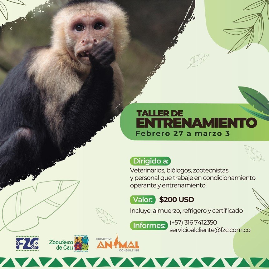 Proactive Animal Consulting | Cancún