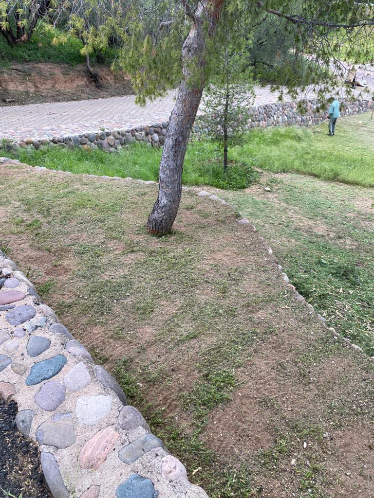 GXH Landscaping | Rio Rico AZ