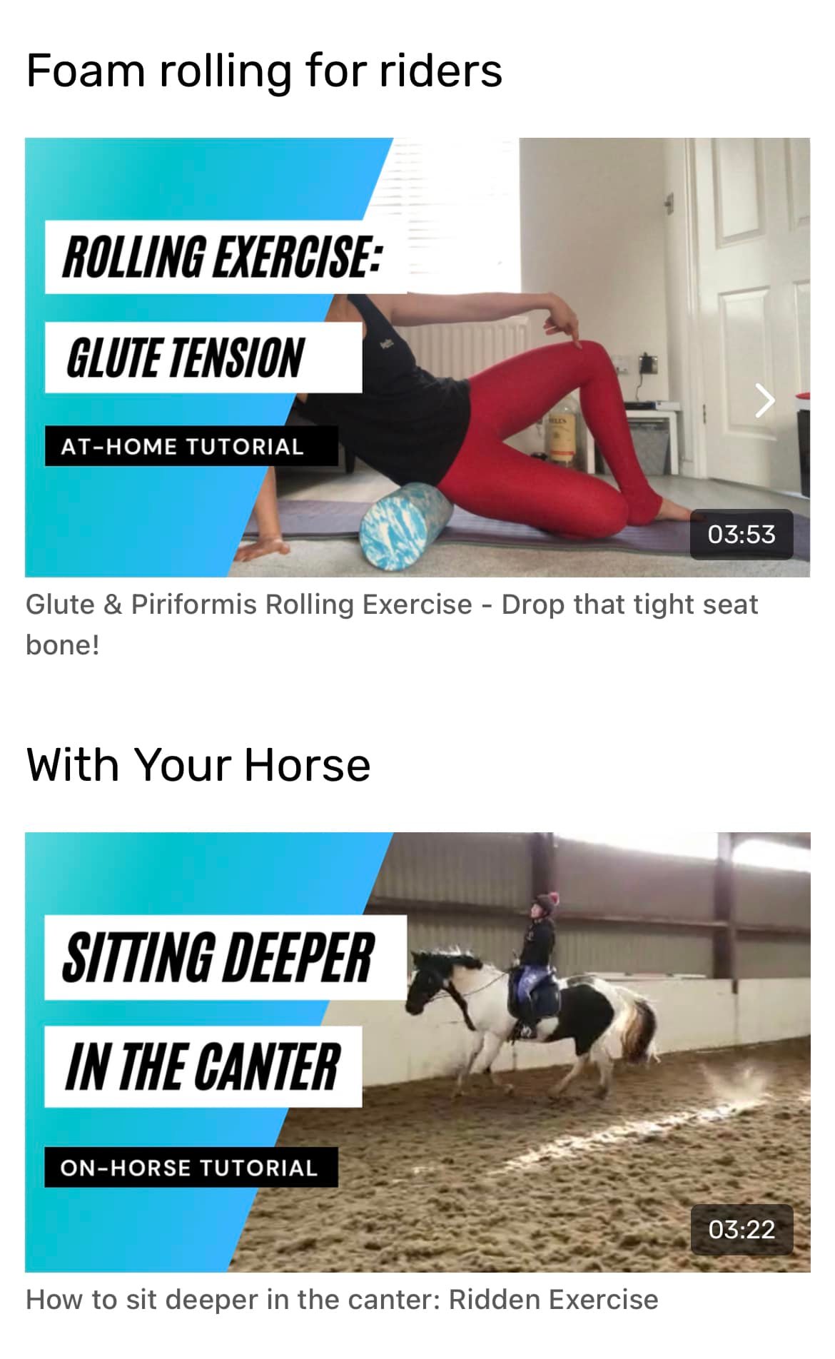 Balanced Rider UK - Position perfection training