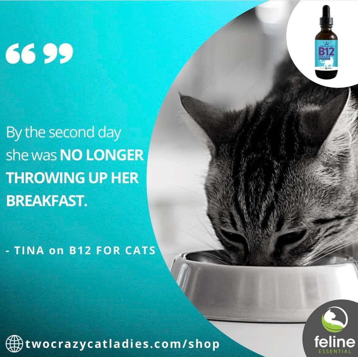 what does b12 injection do for cats Troy Vitamin B12 Injection 100ml