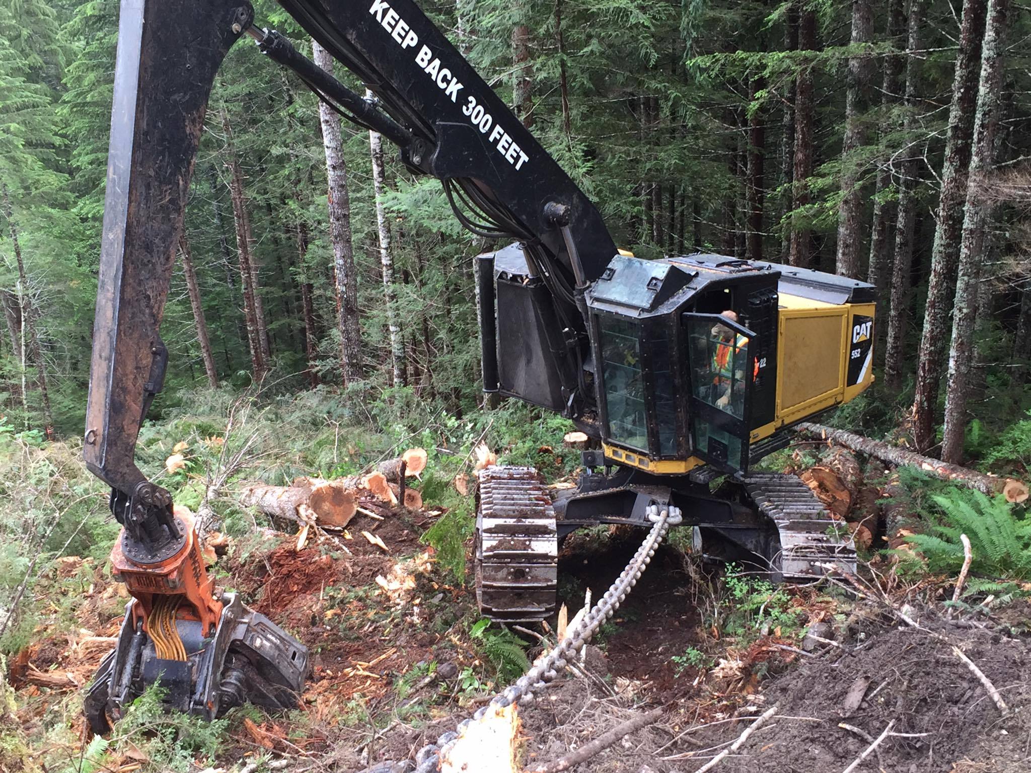 BMR Logging | Jackman ME