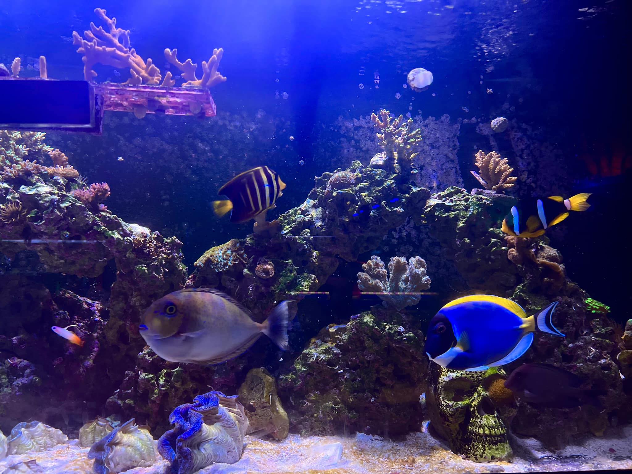 frag.farm | Staten Island NY